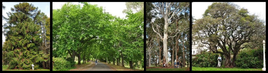 Indigo Shire protects Mayday Hills, Beechworth