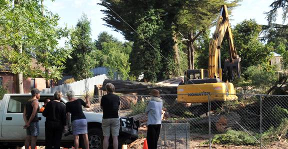 100-year-old trees lopped in Daylesford
