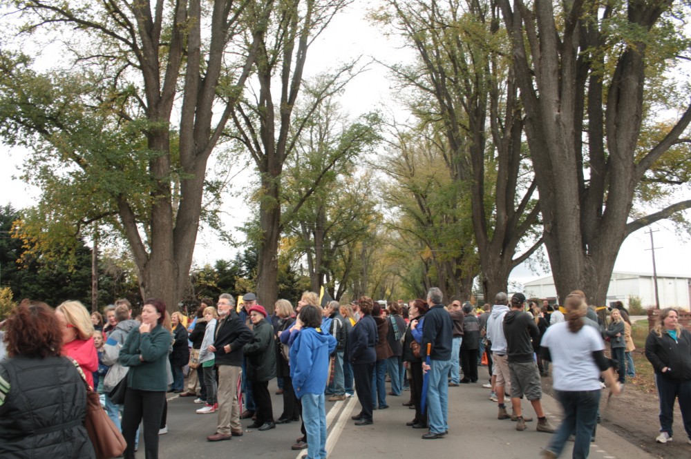 Bacchus Marsh Avenue of Honour