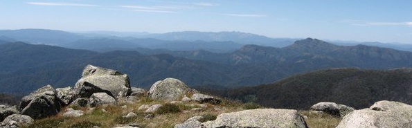Vic environment and heritage groups call on Federal Minister to intervene in alpine grazing