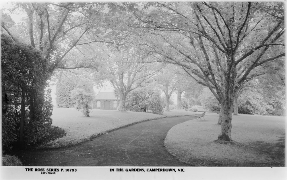 Camperdown Botanic Gardens & Arboretum