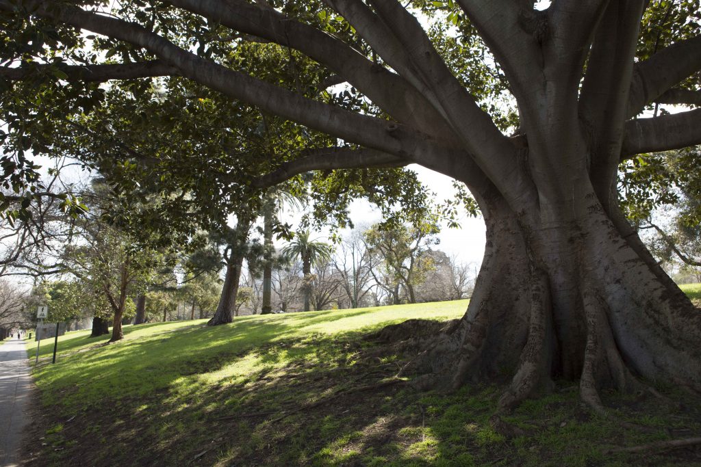 National Trust makes submission to Melbourne Metro Rail Inquiry