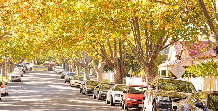 Significant Trees in Moonee Valley