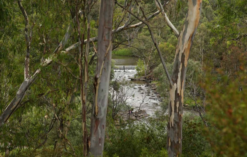 National Trust respond to Yarra River Strategic Plan