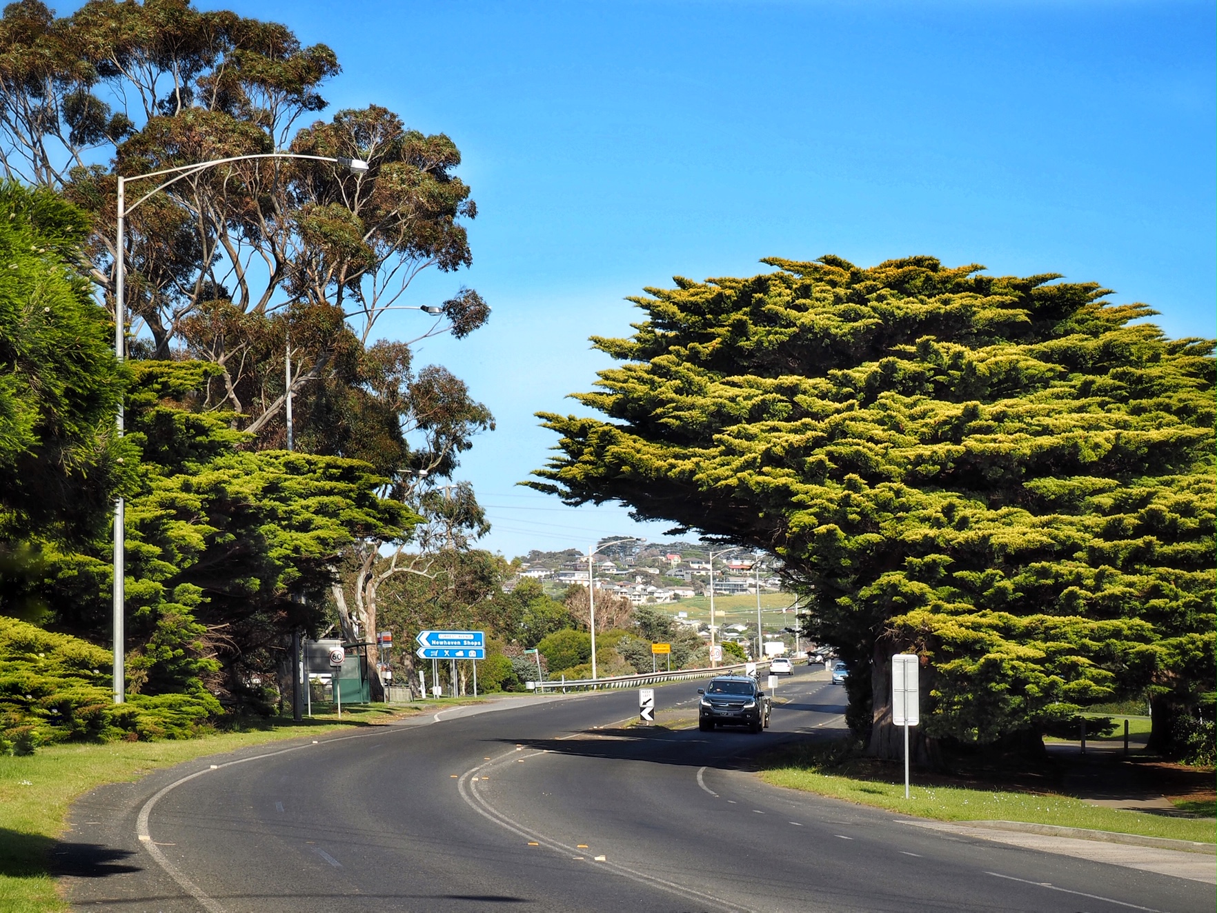 Push to retain iconic trees at Phillip Island entrance