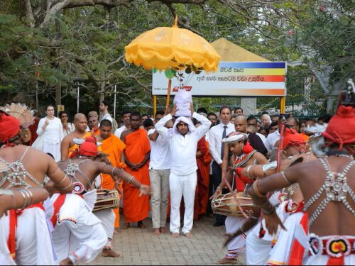 The Oldest and Youngest Significant Tree