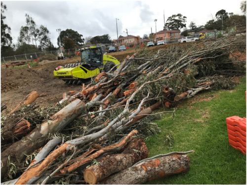 Infrastructure tree clearances