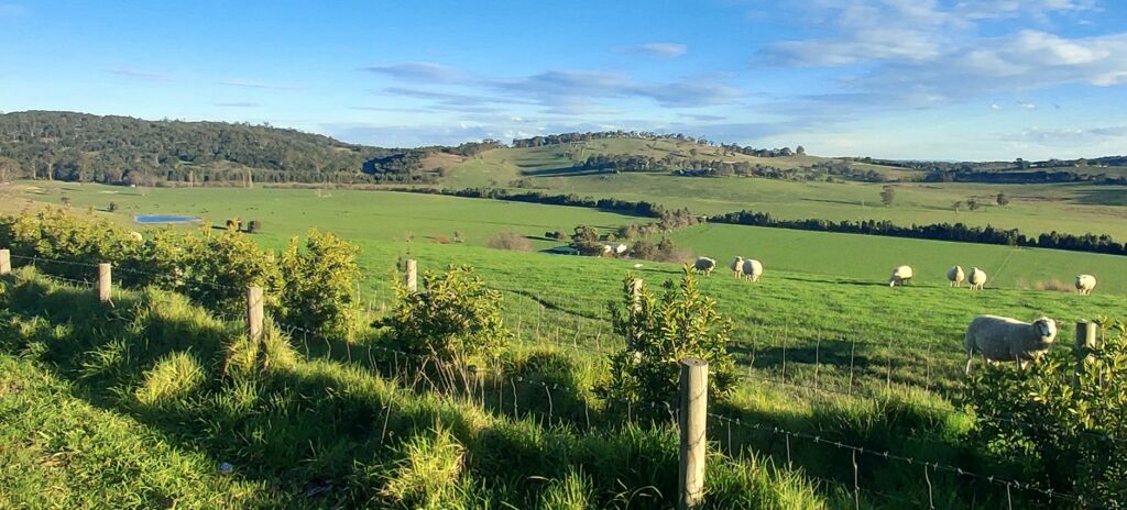 Lysterfield Valley Significant Landscape Saved