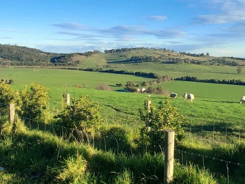 Lysterfield Valley Significant Landscape Saved